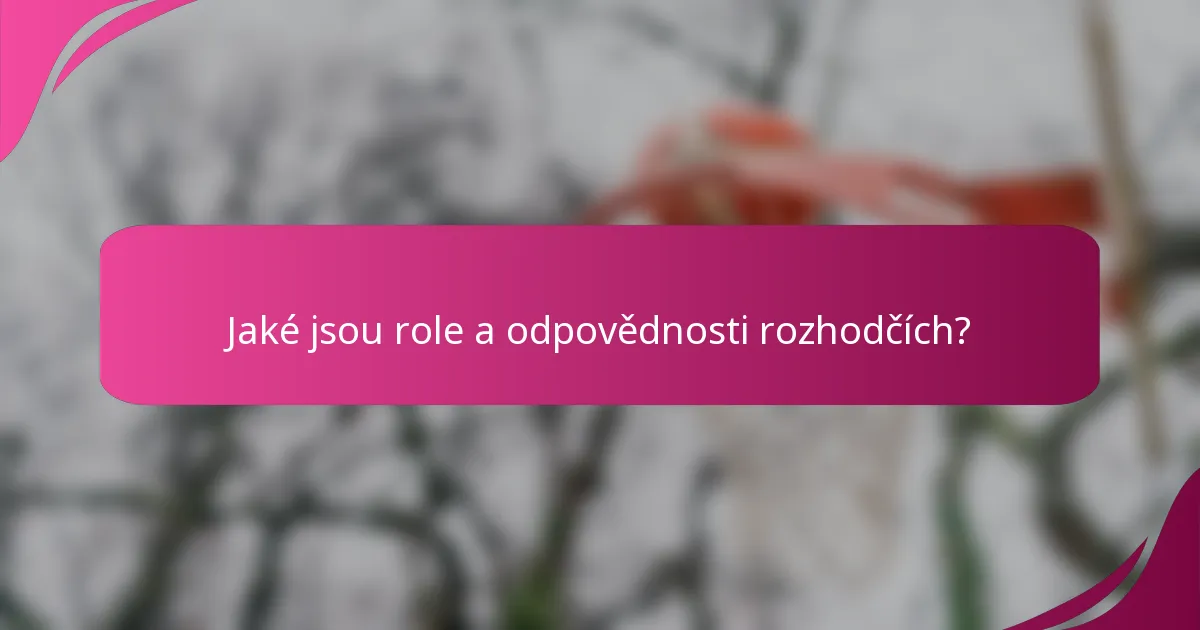 Jaké jsou role a odpovědnosti rozhodčích?